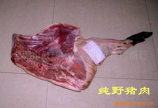 特種耐火材料相關(guān)產(chǎn)品